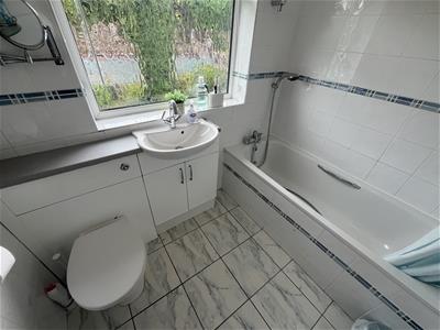 Picture 25